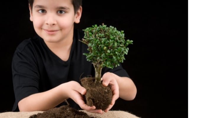little boy holding a small tree