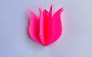 diy paper tulip petals glued together
