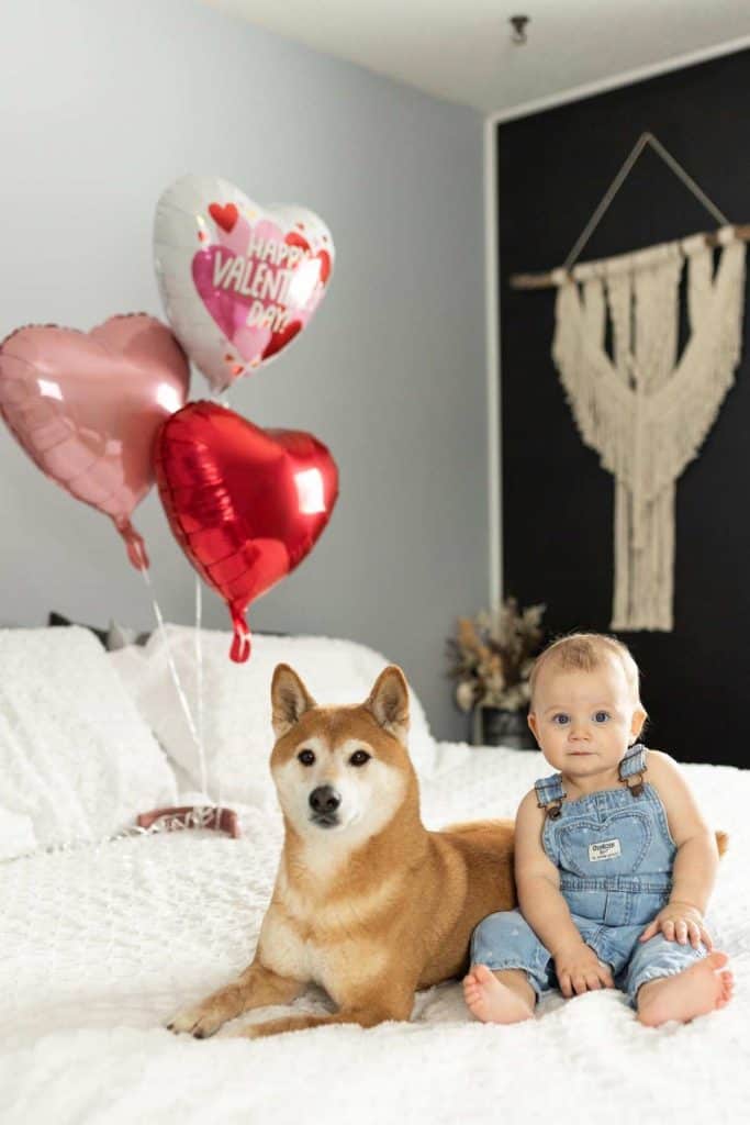 Valentine's Day Baby Photoshoot Ideas For Easy DIY Images