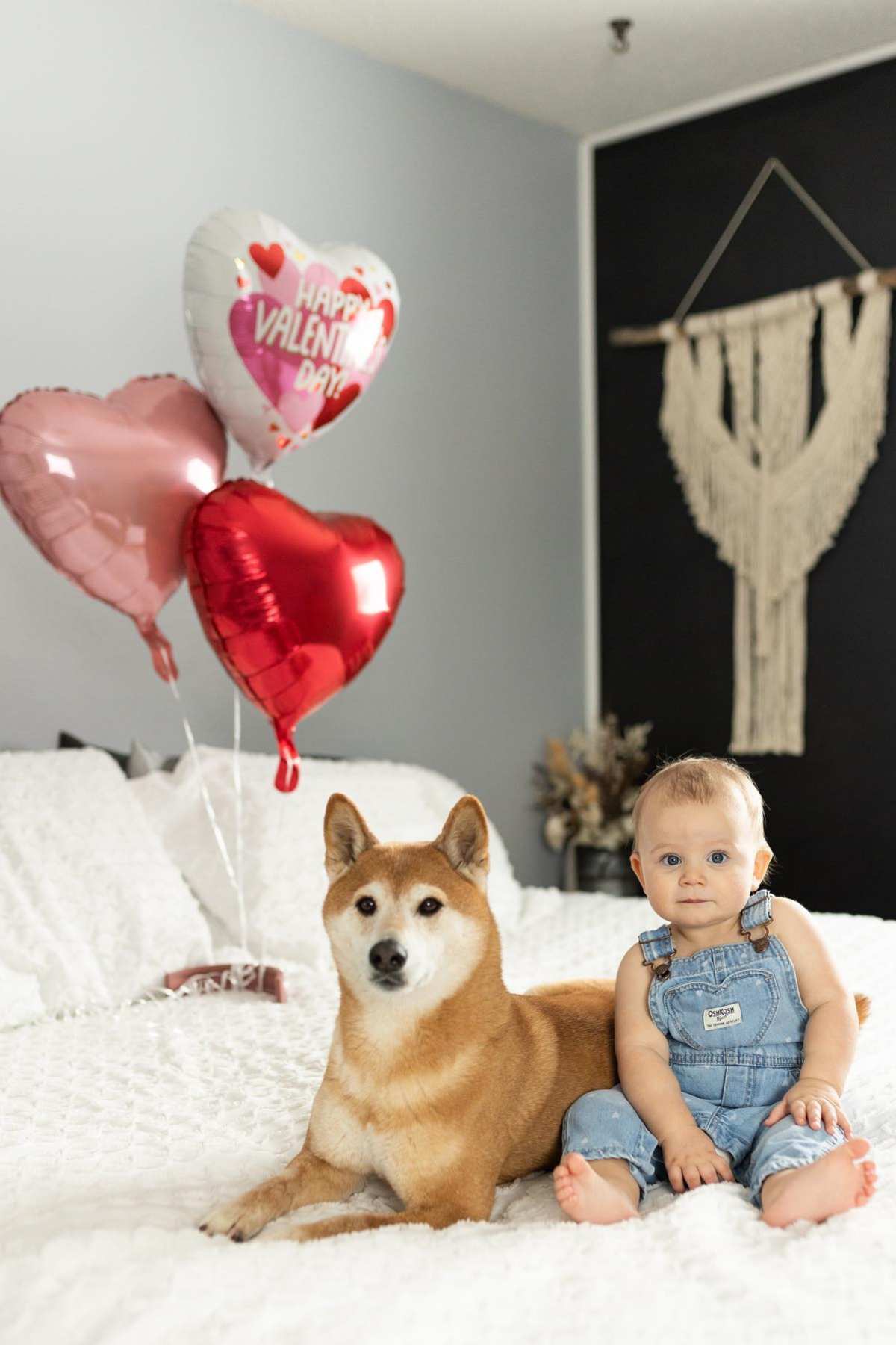 A baby sits on a bed next to a dog and balloons.