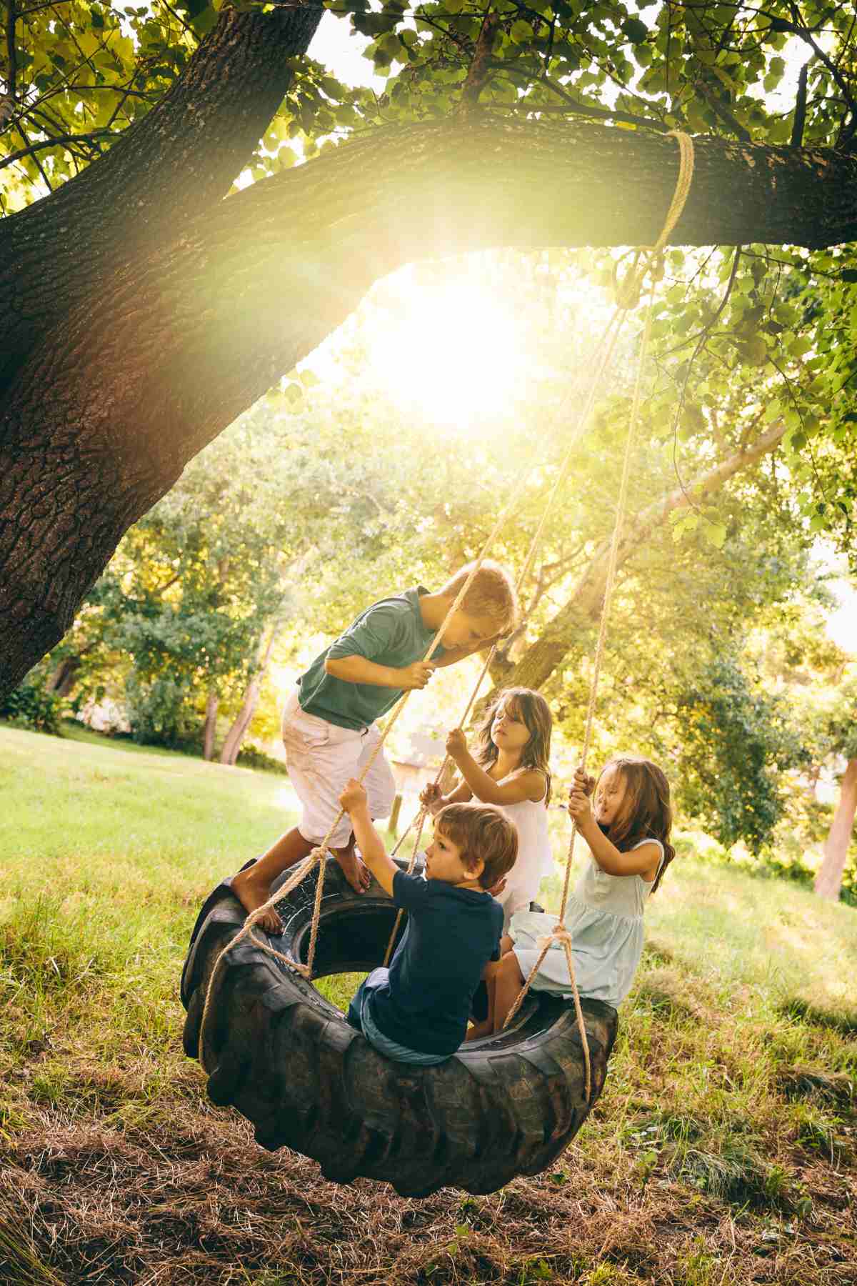 Children playing on a tire swing under a tree on a sunny day.