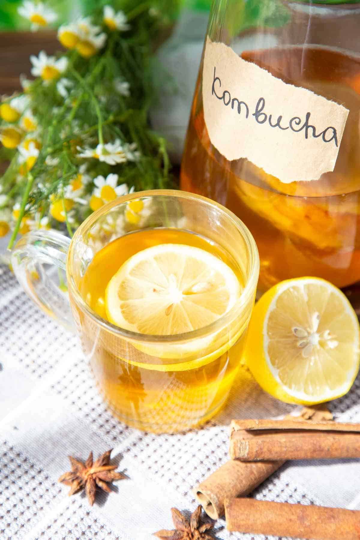 A cup of kombucha tea with lemon slices, surrounded by chamomile flowers, cinnamon sticks, and a jar labeled "kombucha.