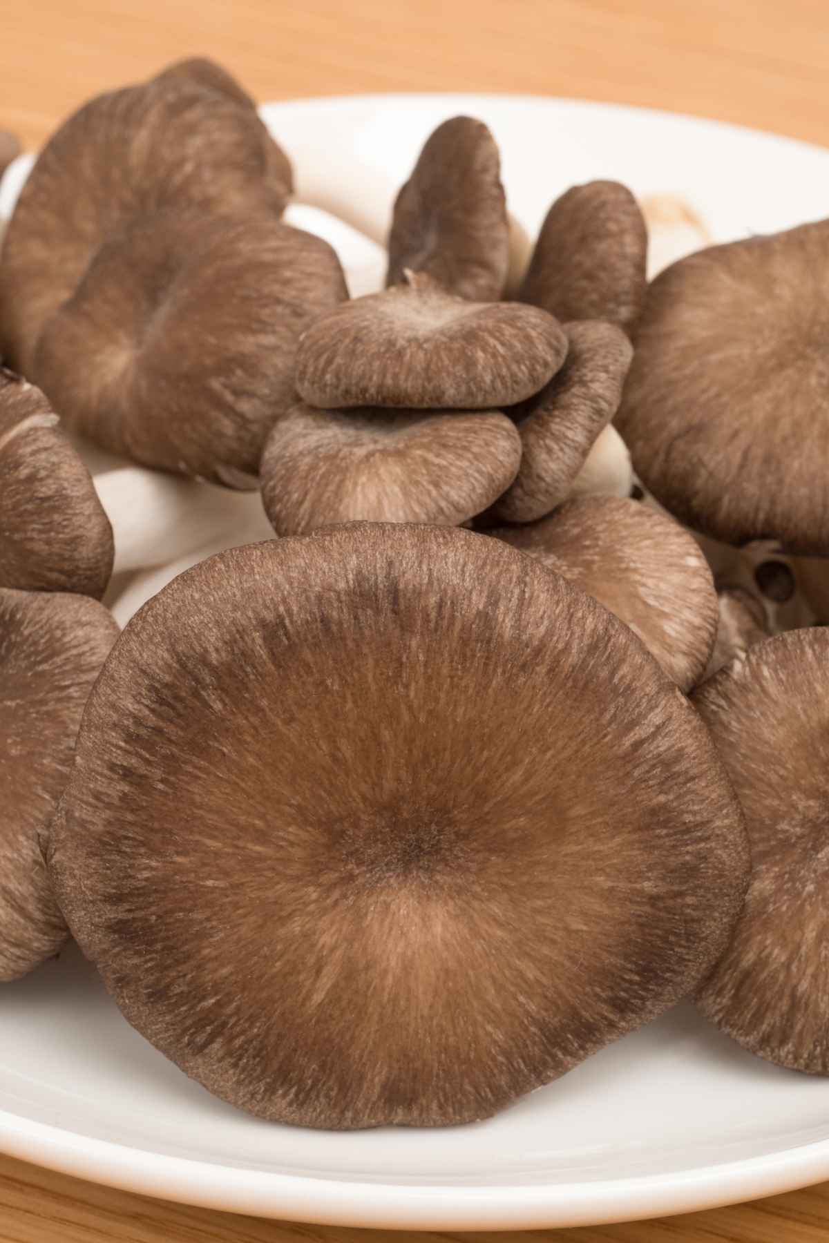 Close-up of several brown mushrooms with smooth caps, displayed on a white plate.