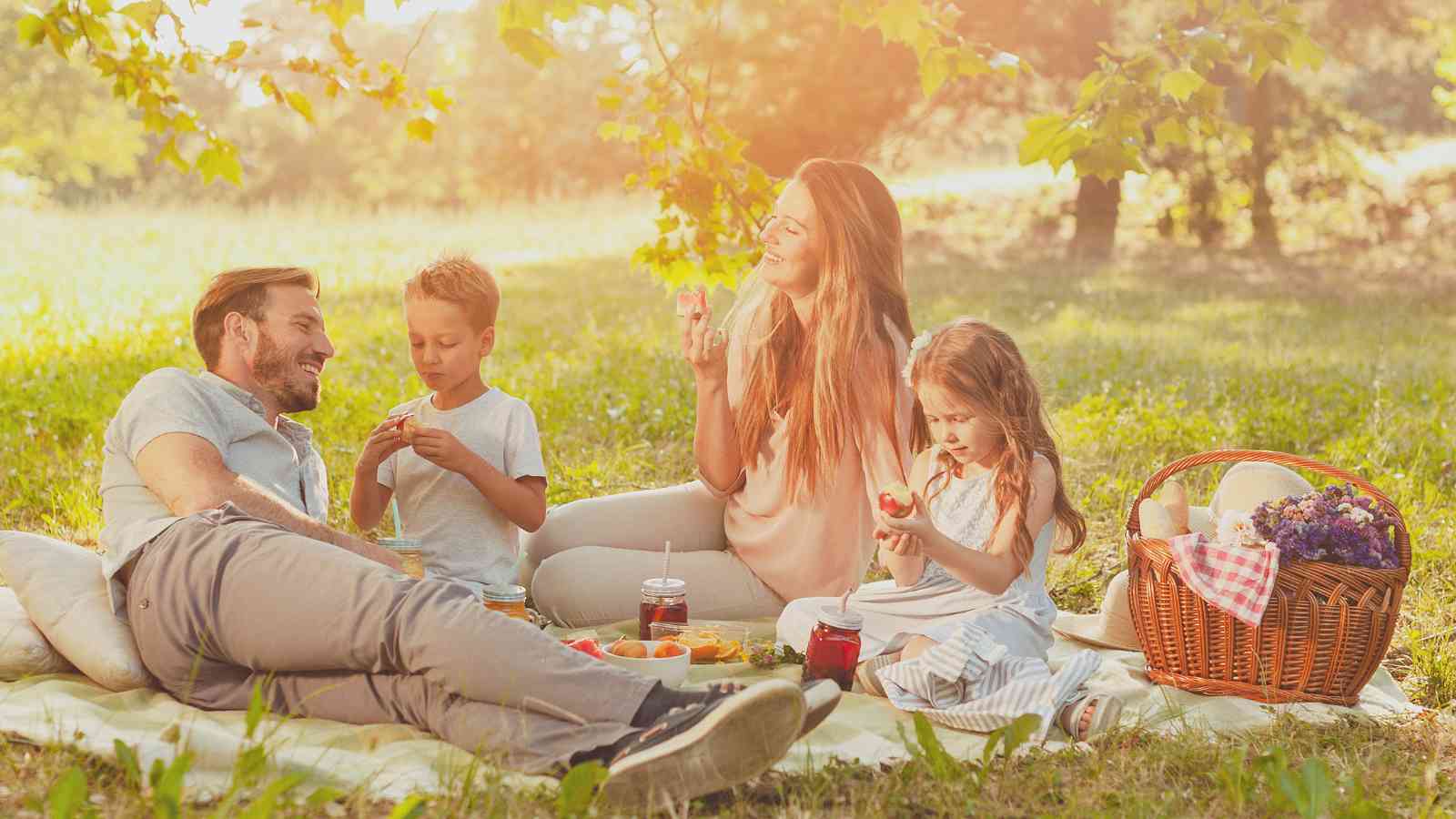 A family of four enjoys a picnic on a grassy field under a tree.