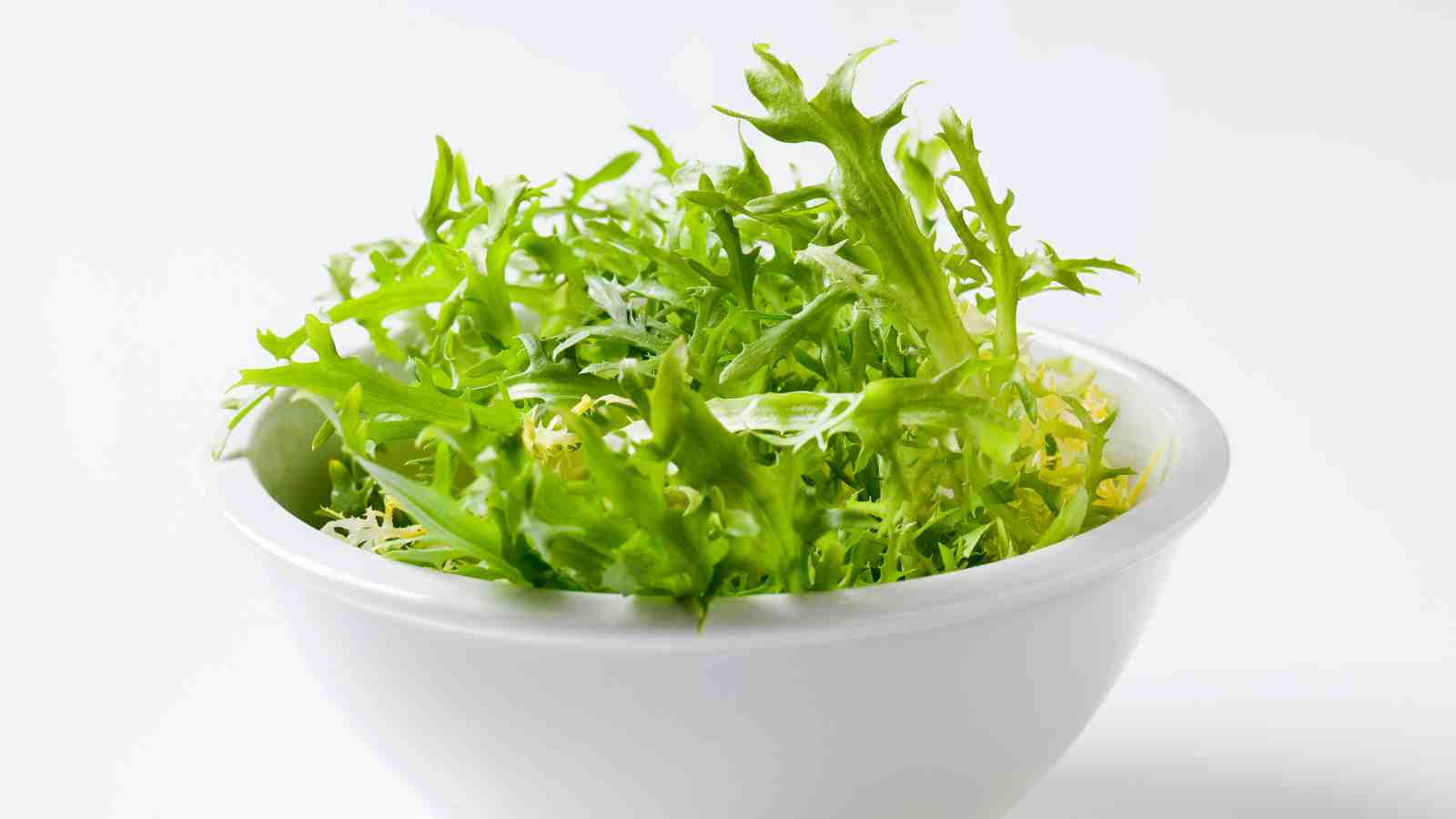 A white bowl filled with fresh, chicory against a plain white background.
