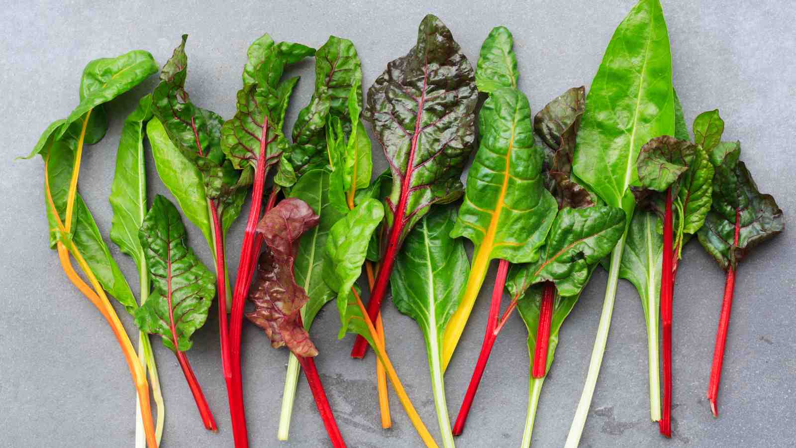 Rainbow Swiss chard leaves with red, yellow, and green stems laid out on a gray surface.