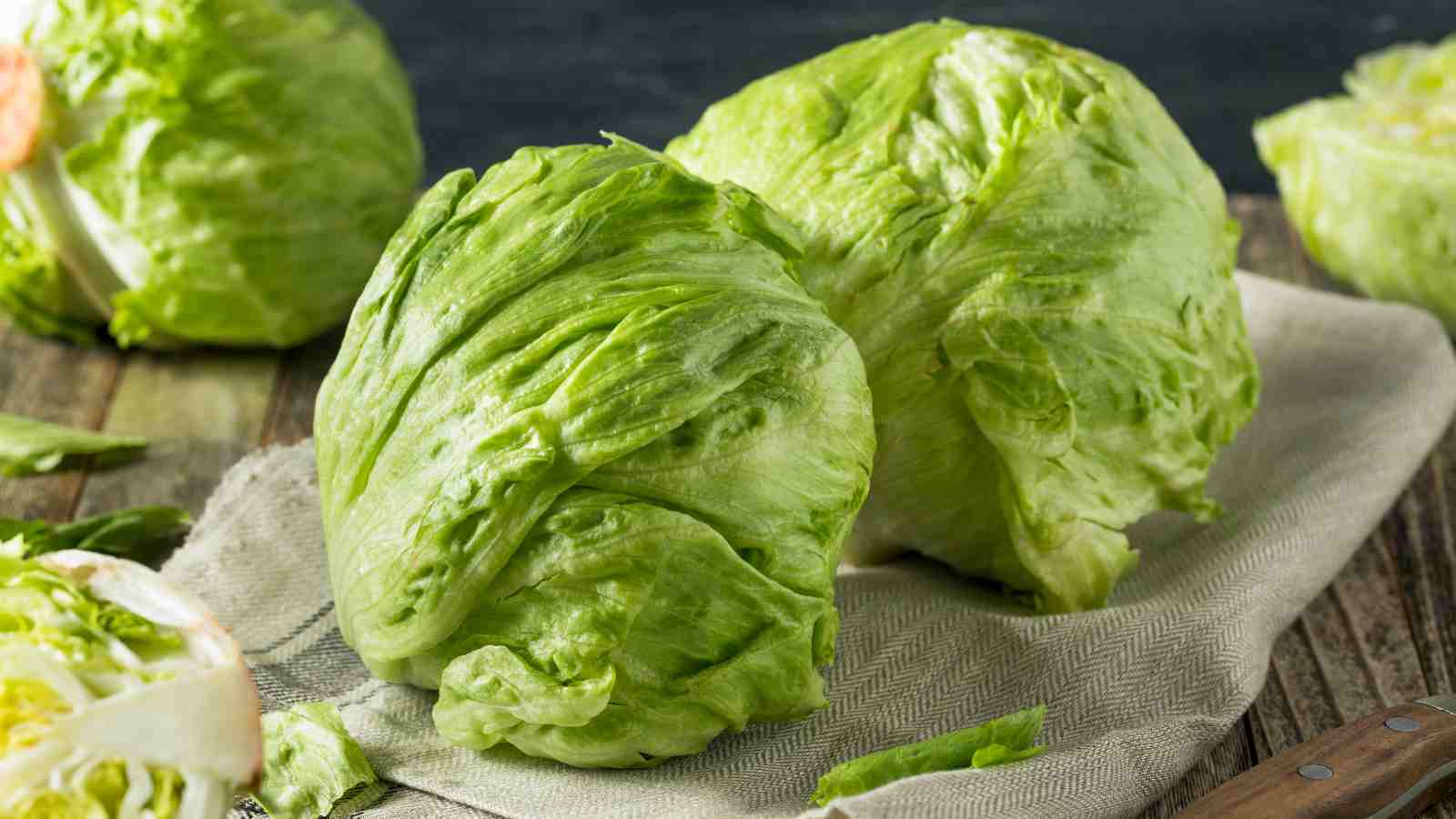 A group of round lettuce on a cloth.