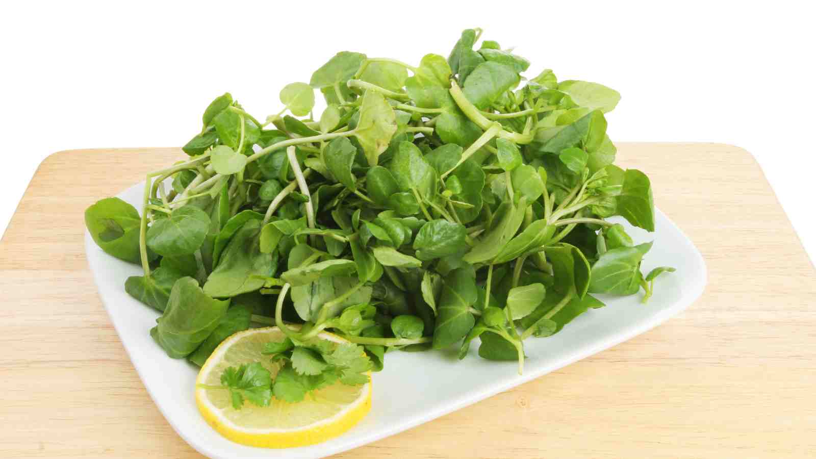 A plate of fresh green watercress garnished with a slice of lemon and a sprig of cilantro, placed on a wooden surface.