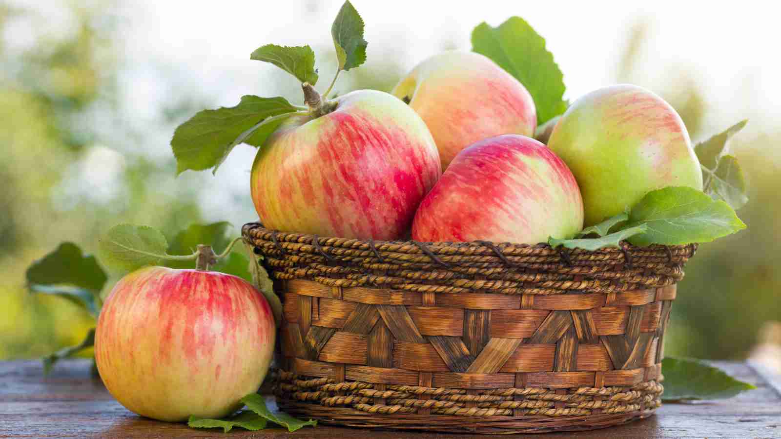 A woven basket filled with several red and green apples, with some leaves still attached, placed on a wooden surface outdoors.