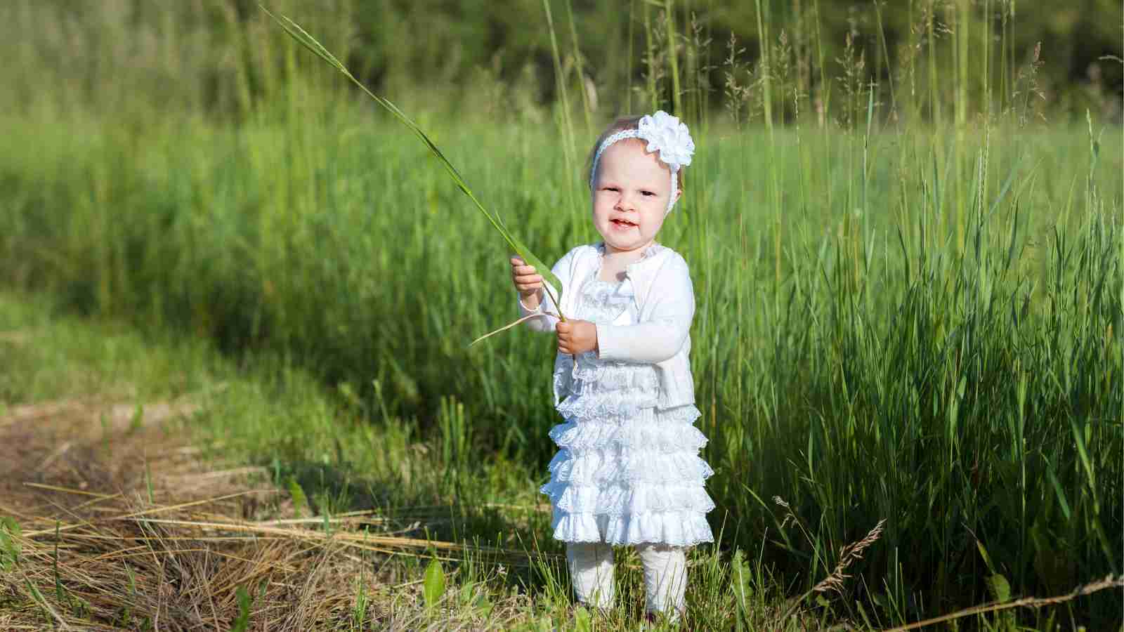 A toddler wearing a white dress and headband stands in a grassy field, holding a long blade of grass.