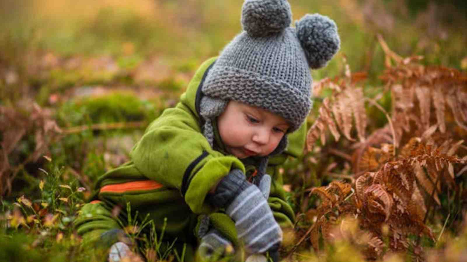 A baby wearing a gray knit hat with pom-poms and green clothing sits on the ground, examining plants and ferns in a grassy, autumnal setting.