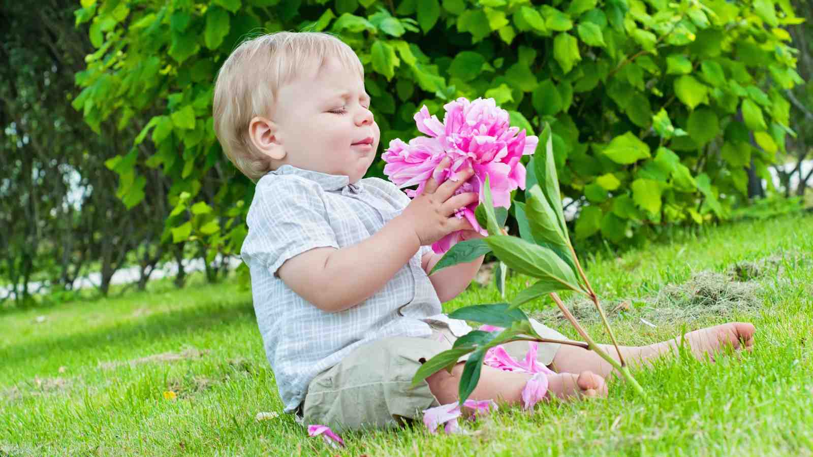 A young child sits on a grassy lawn holding a pink flower, with green foliage in the background.
