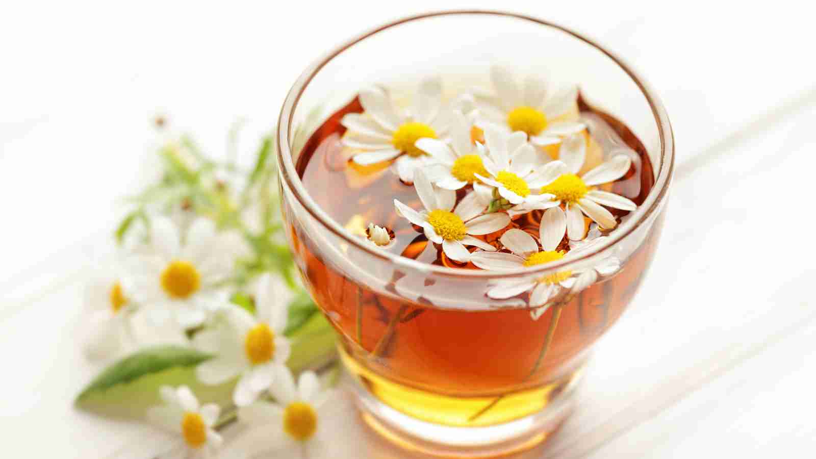 A glass cup filled with chamomile tea, garnished with white chamomile flowers.