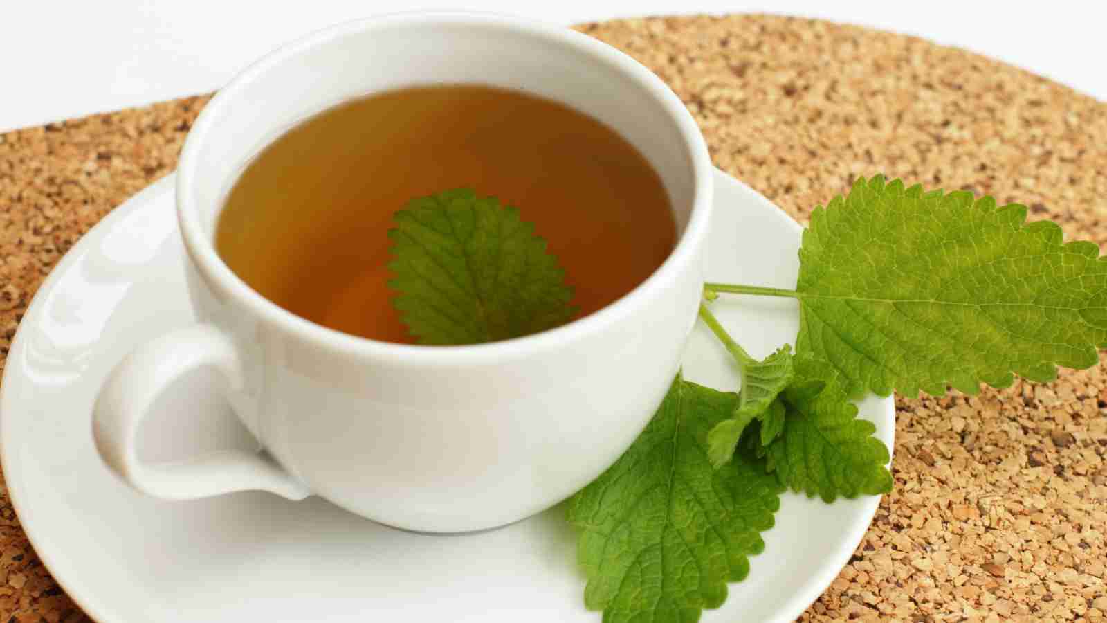 A white teacup filled with herbal tea, garnished by a mint leaf, sits on a white saucer.