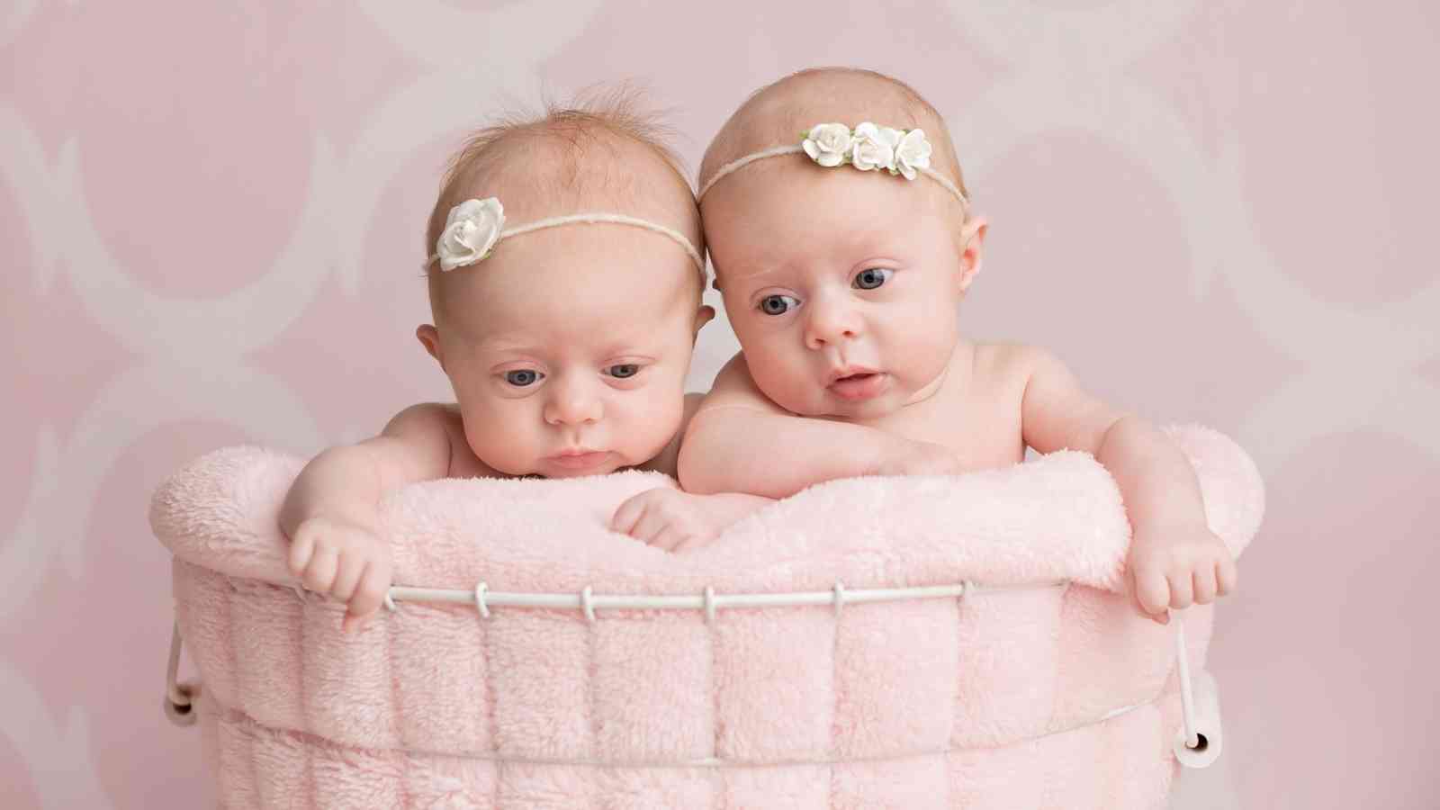 Two baby girls wearing flower headbands are sitting in a pink basket.