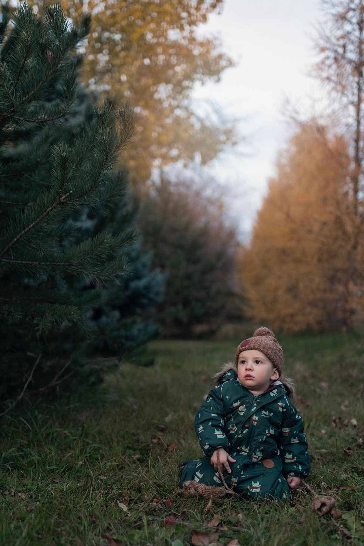 A small child in a green coat and brown hat sits on grass in a forest clearing surrounded by pine trees and autumn foliage.