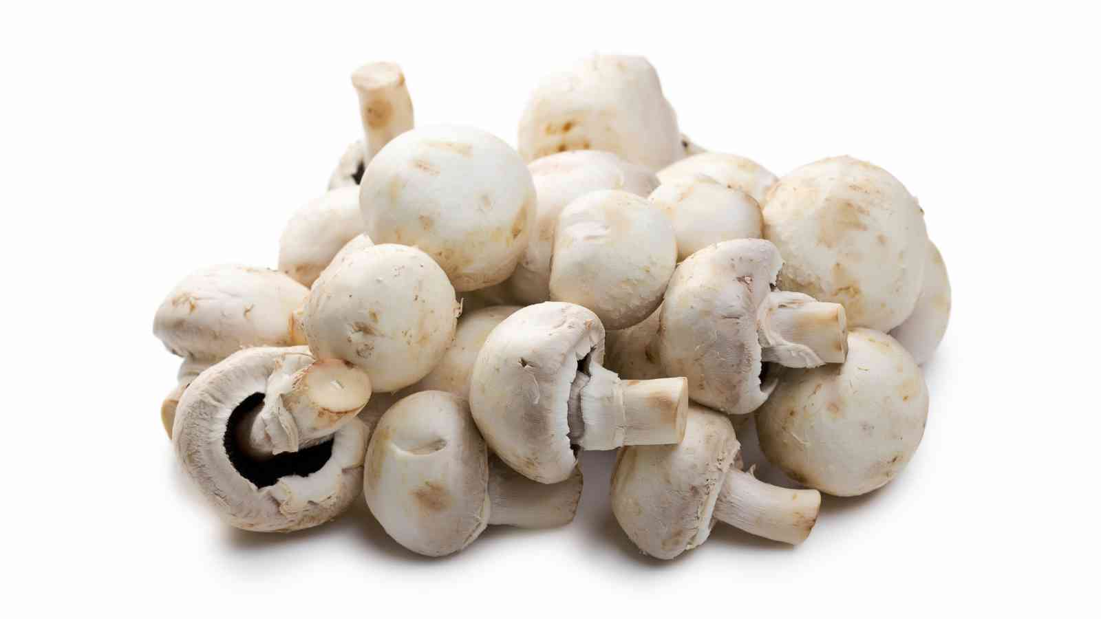 A cluster of white button mushrooms on a white background.