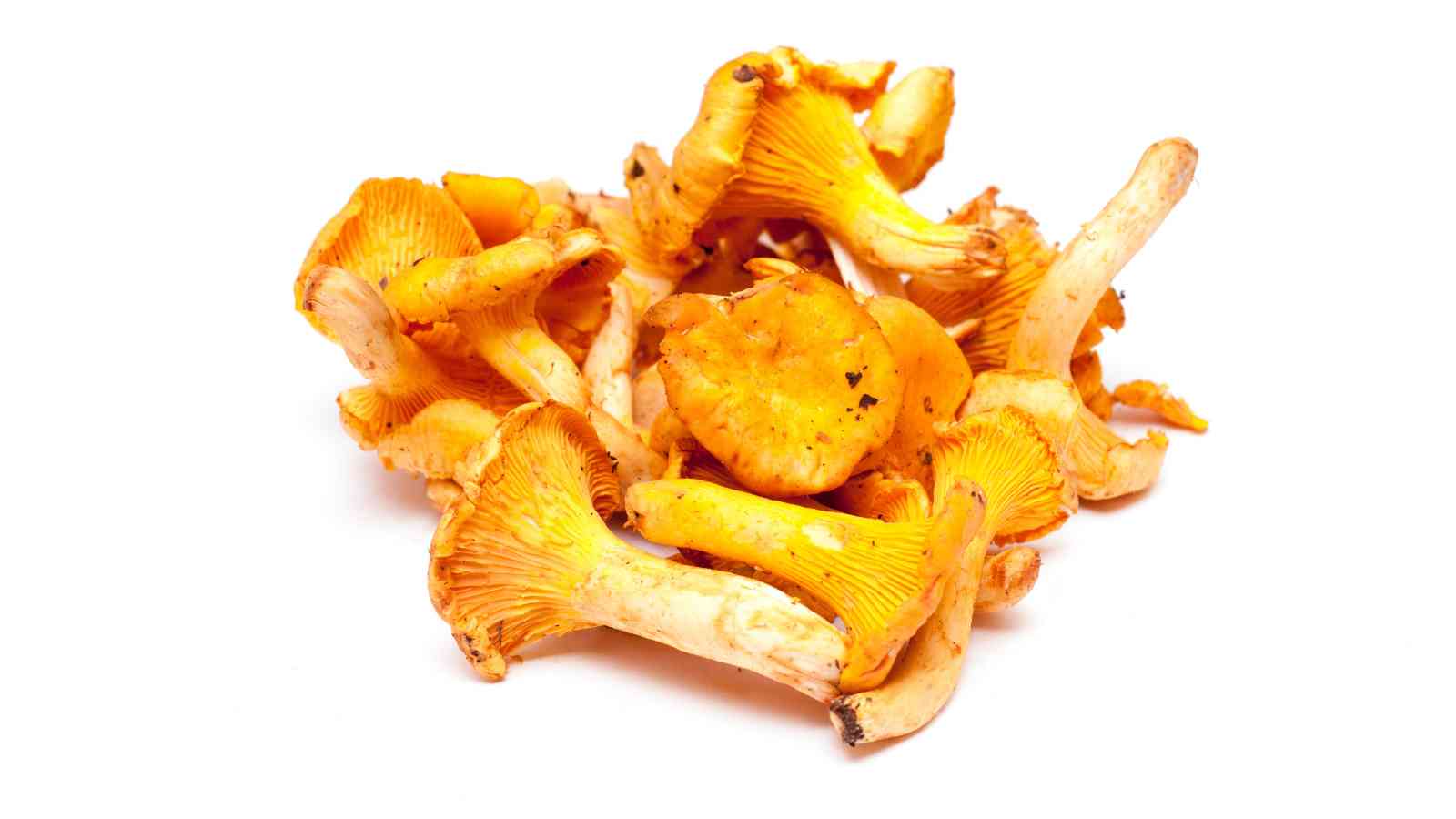 A cluster of fresh orange chanterelle mushrooms on a white background.