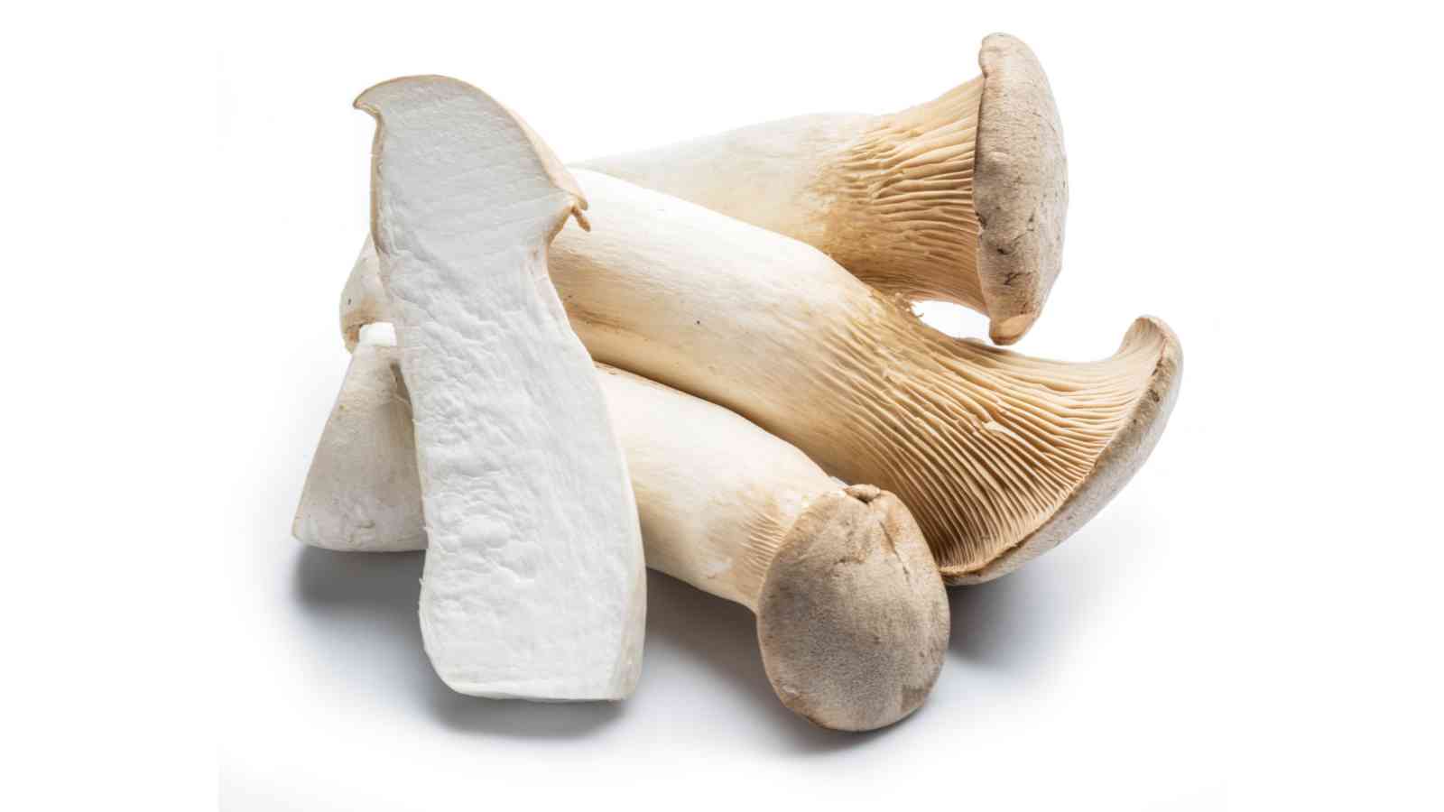 Four king oyster mushrooms on a white background, one sliced to show the interior.