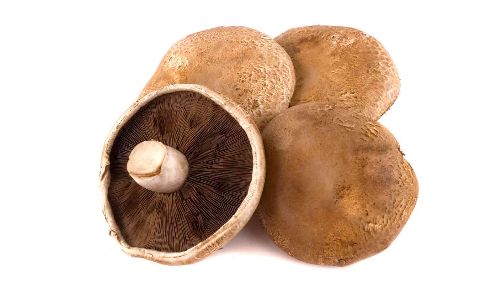 Four fresh portobello mushrooms on a white background, one shown with gills and stem visible.
