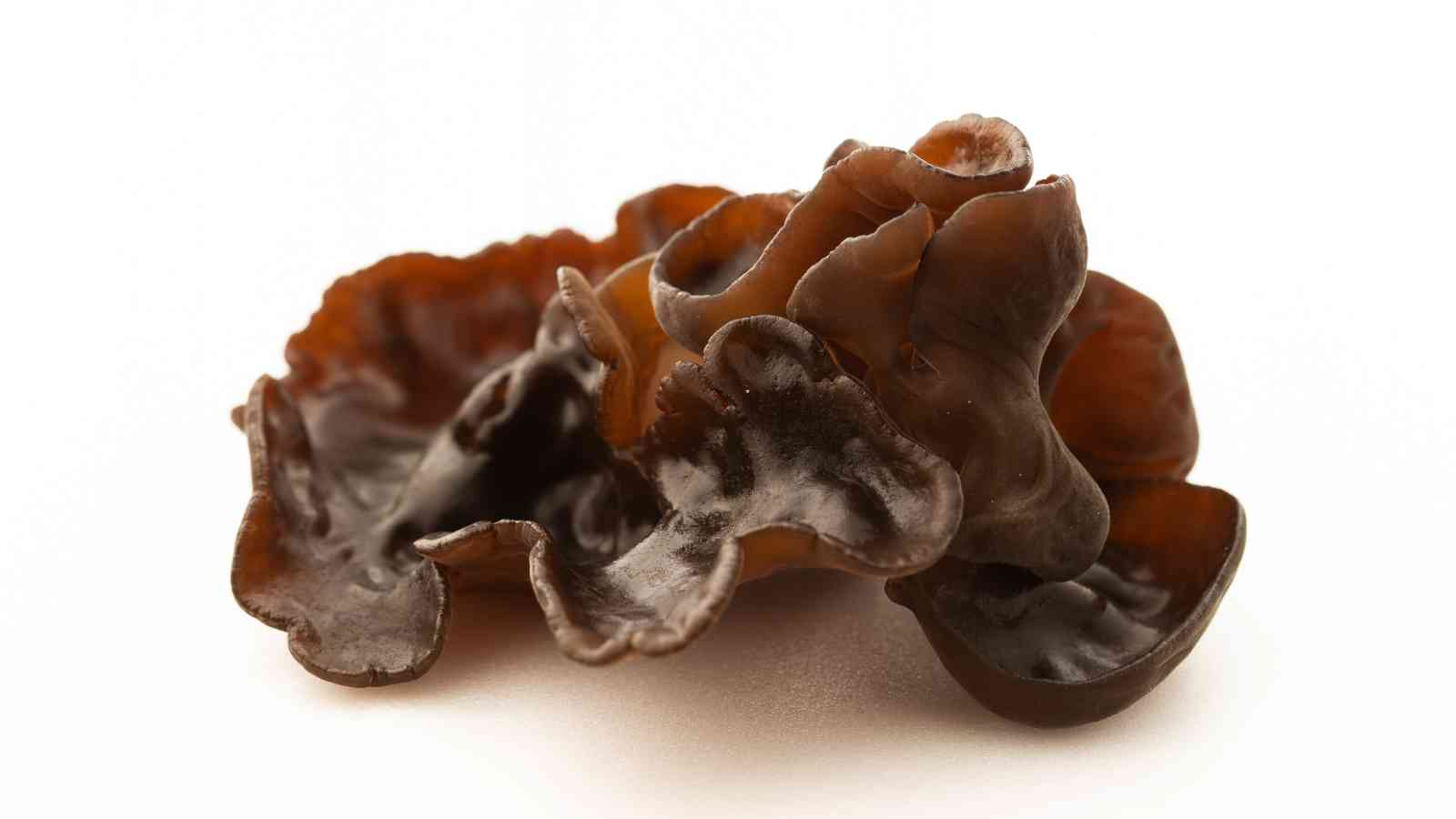 Close-up image of wood ear mushrooms against a white background.