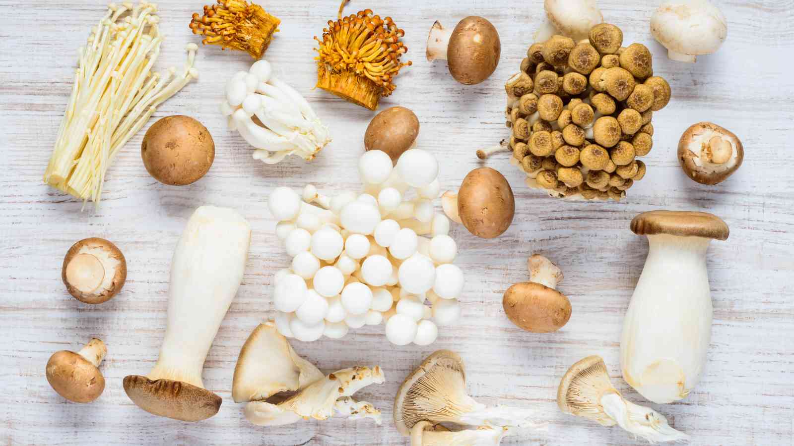 Assorted mushrooms arranged on a light wooden surface.