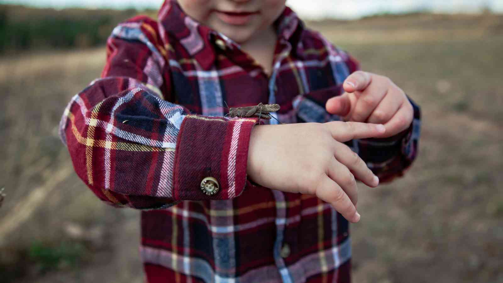 Child in a plaid shirt observes a grasshopper on their arm outdoors.