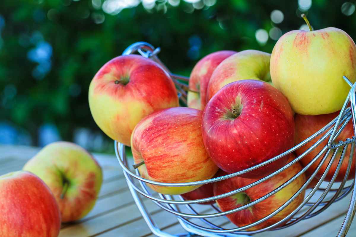 A wire basket filled with red and yellow apples on a wooden table, with greenery in the background.