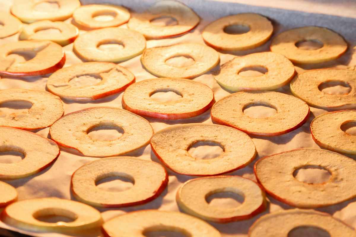 Sliced apples arranged on a baking sheet covered with parchment paper, ready for drying or baking.