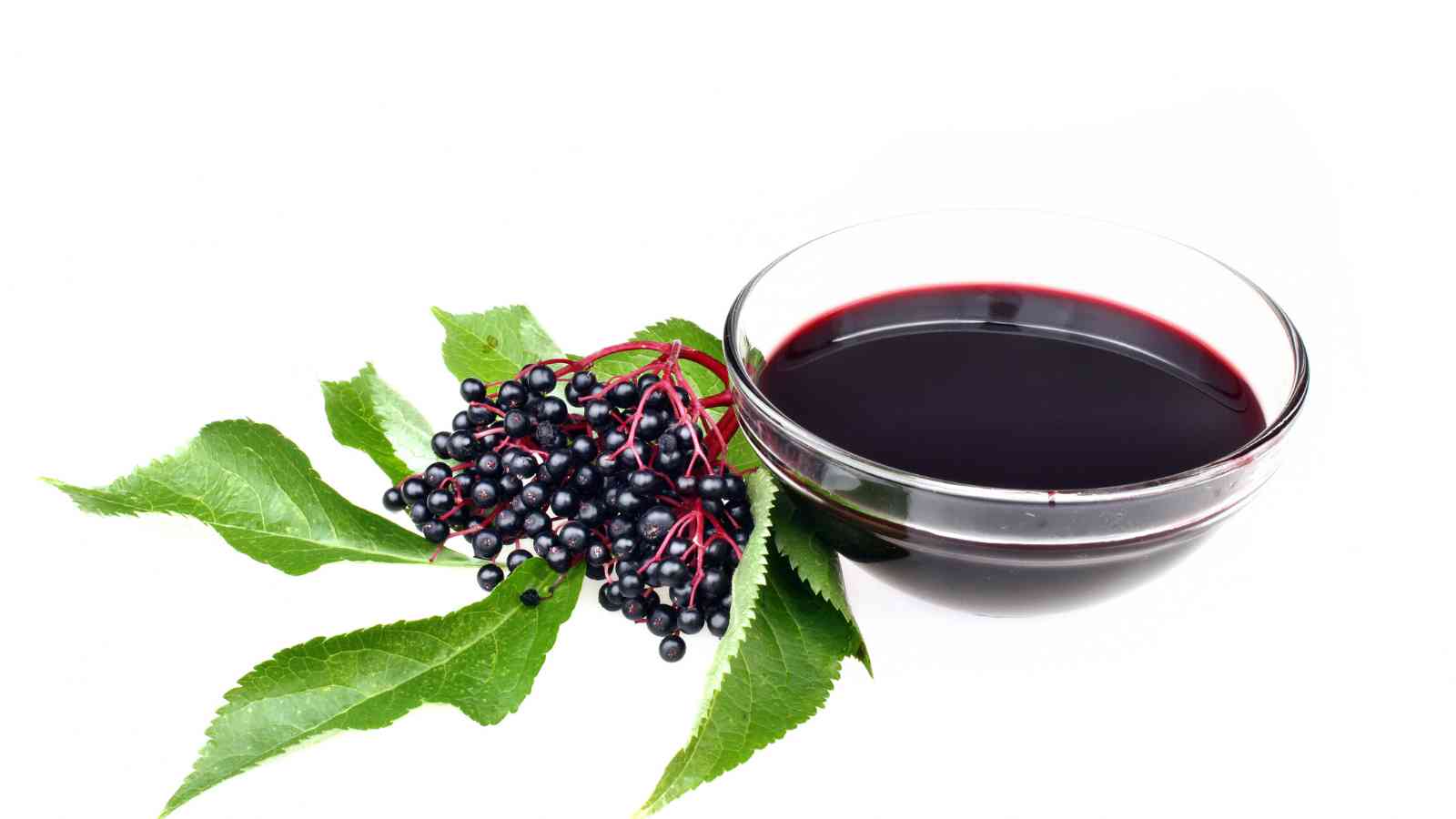 A glass bowl filled with dark elderberry juice is placed next to a cluster of ripe elderberries and green leaves on a white background.