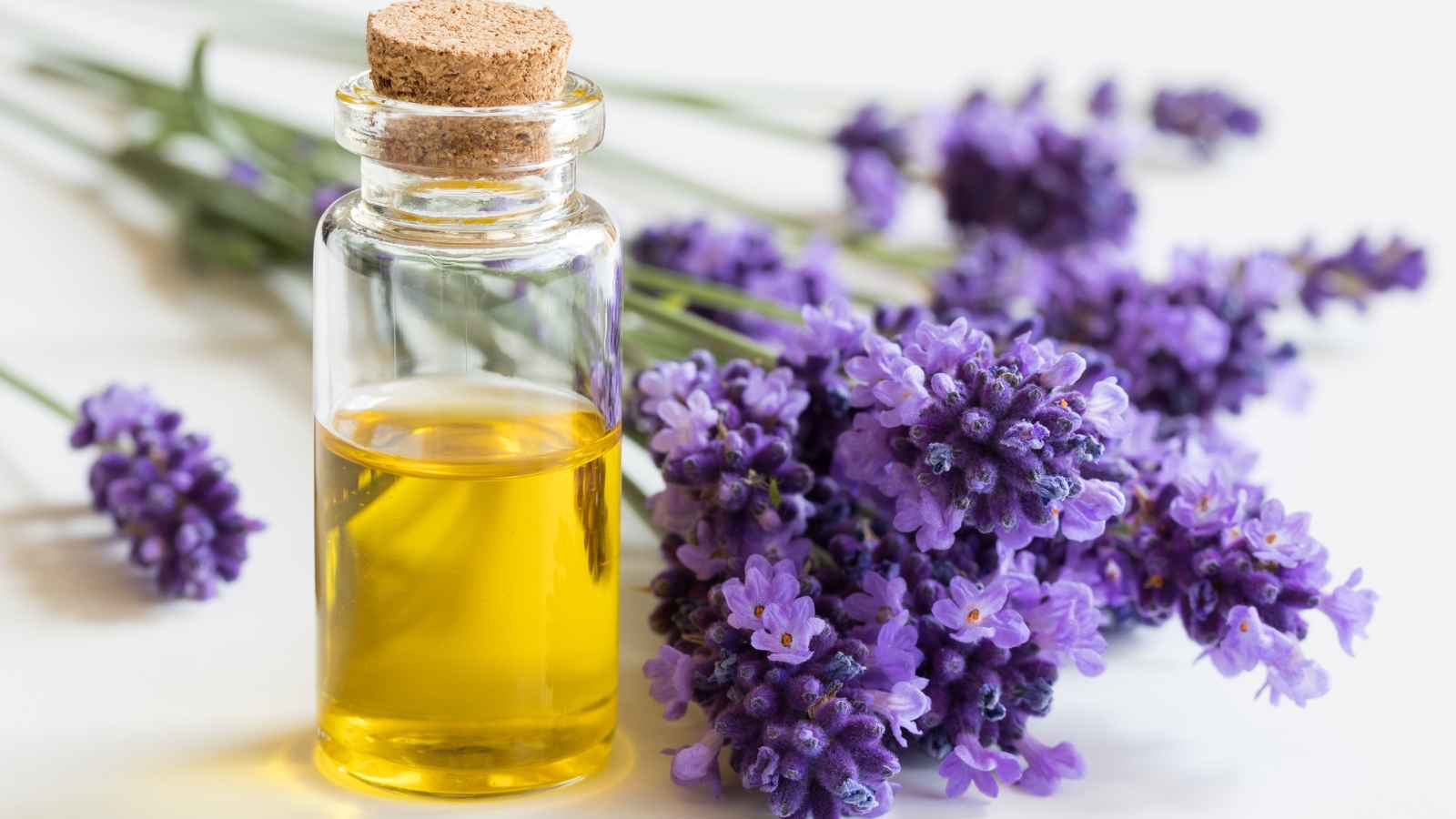 A small glass bottle of yellow oil with a cork sits next to fresh sprigs of lavender on a white surface.