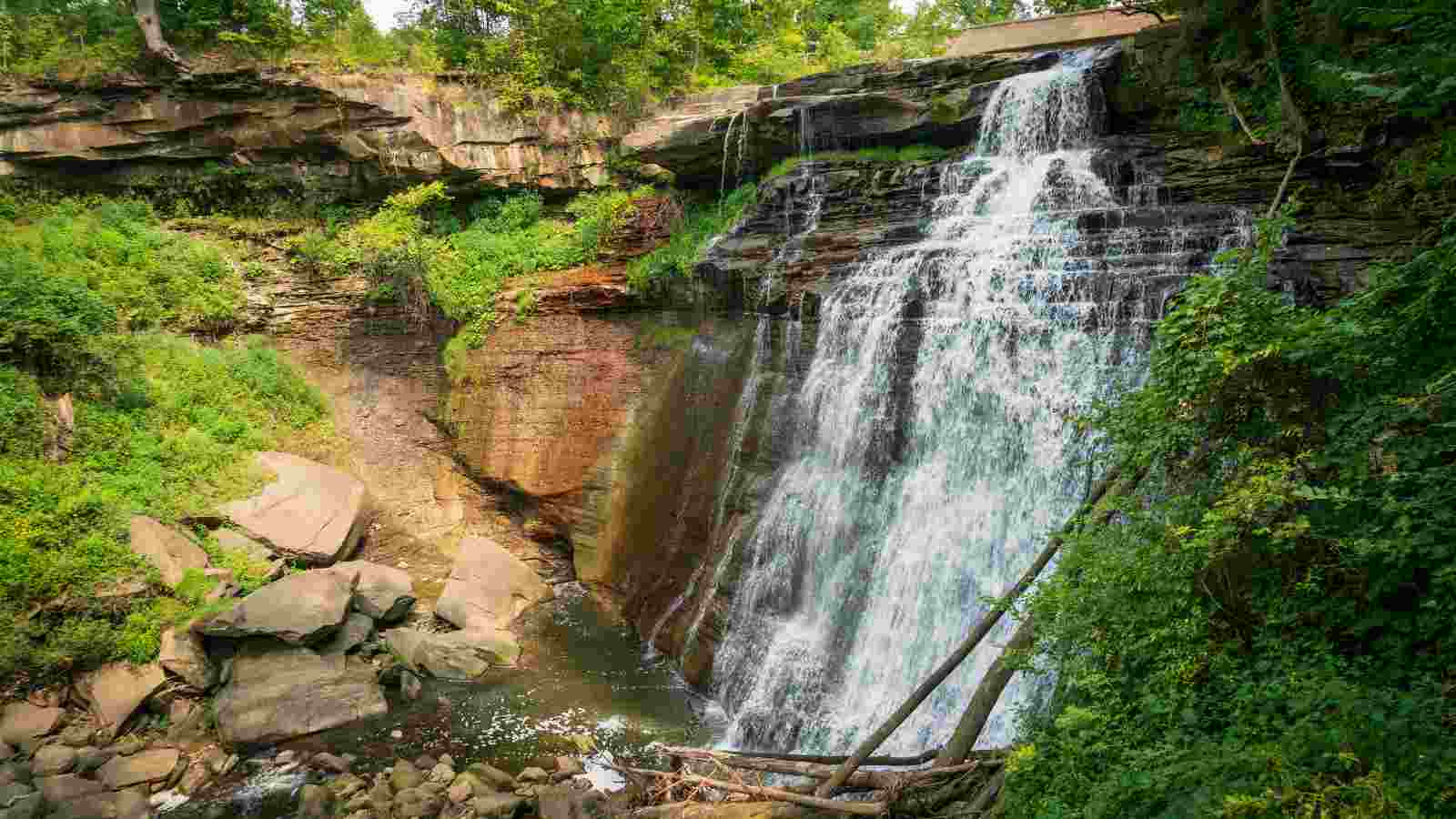 A waterfall cascades over a rocky cliff surrounded by lush green vegetation, with water pooling at the base and fallen branches nearby.