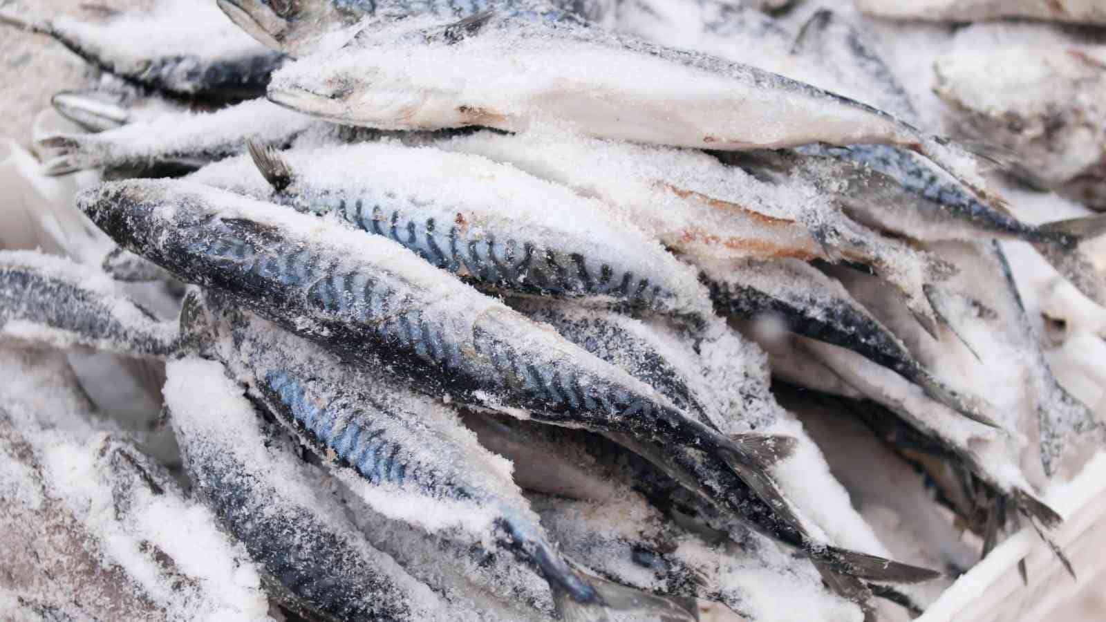 A pile of frozen fish covered in ice is stacked together, likely for preservation or storage.