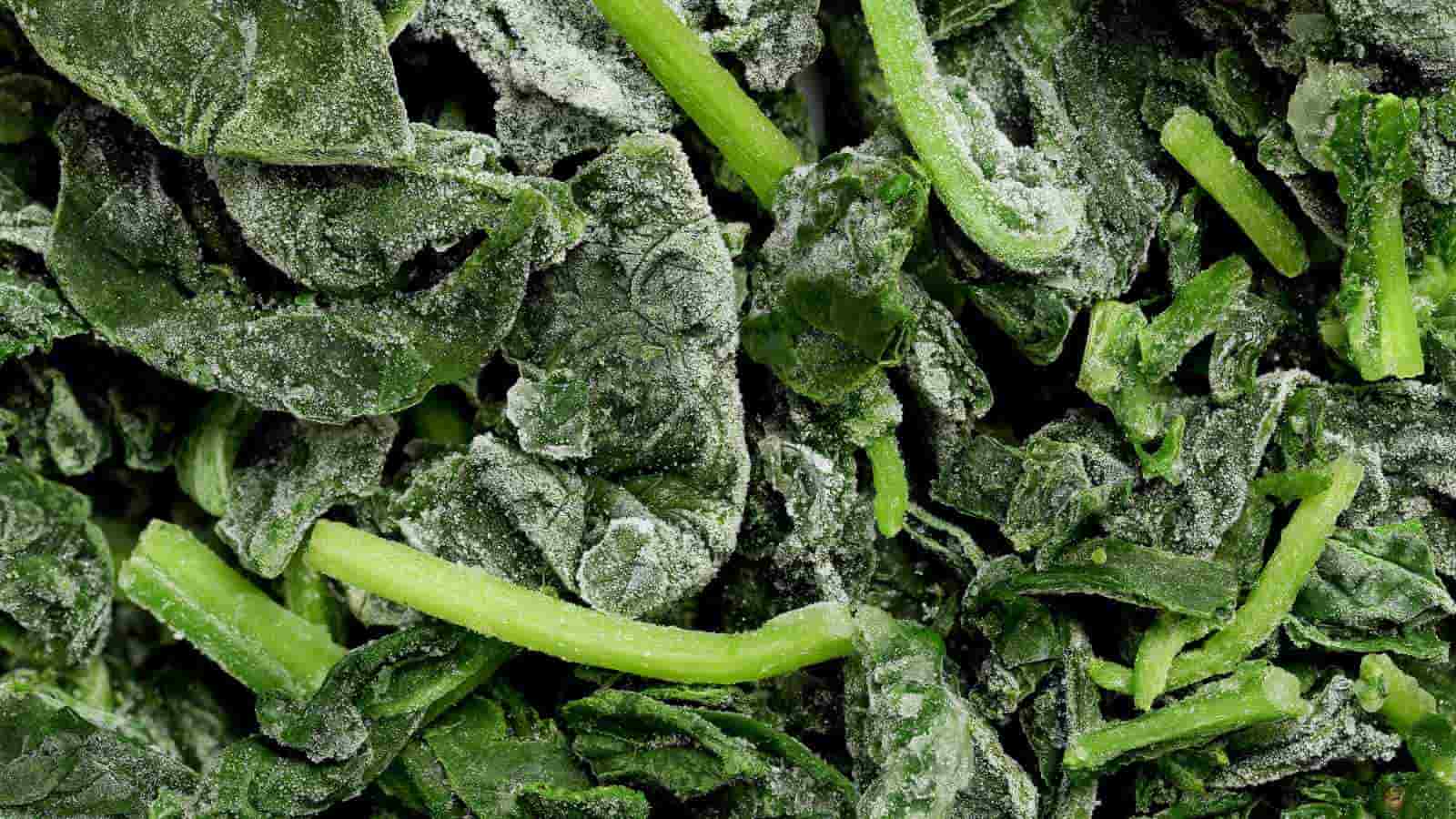 Close-up of frozen spinach leaves and stems covered in ice crystals.
