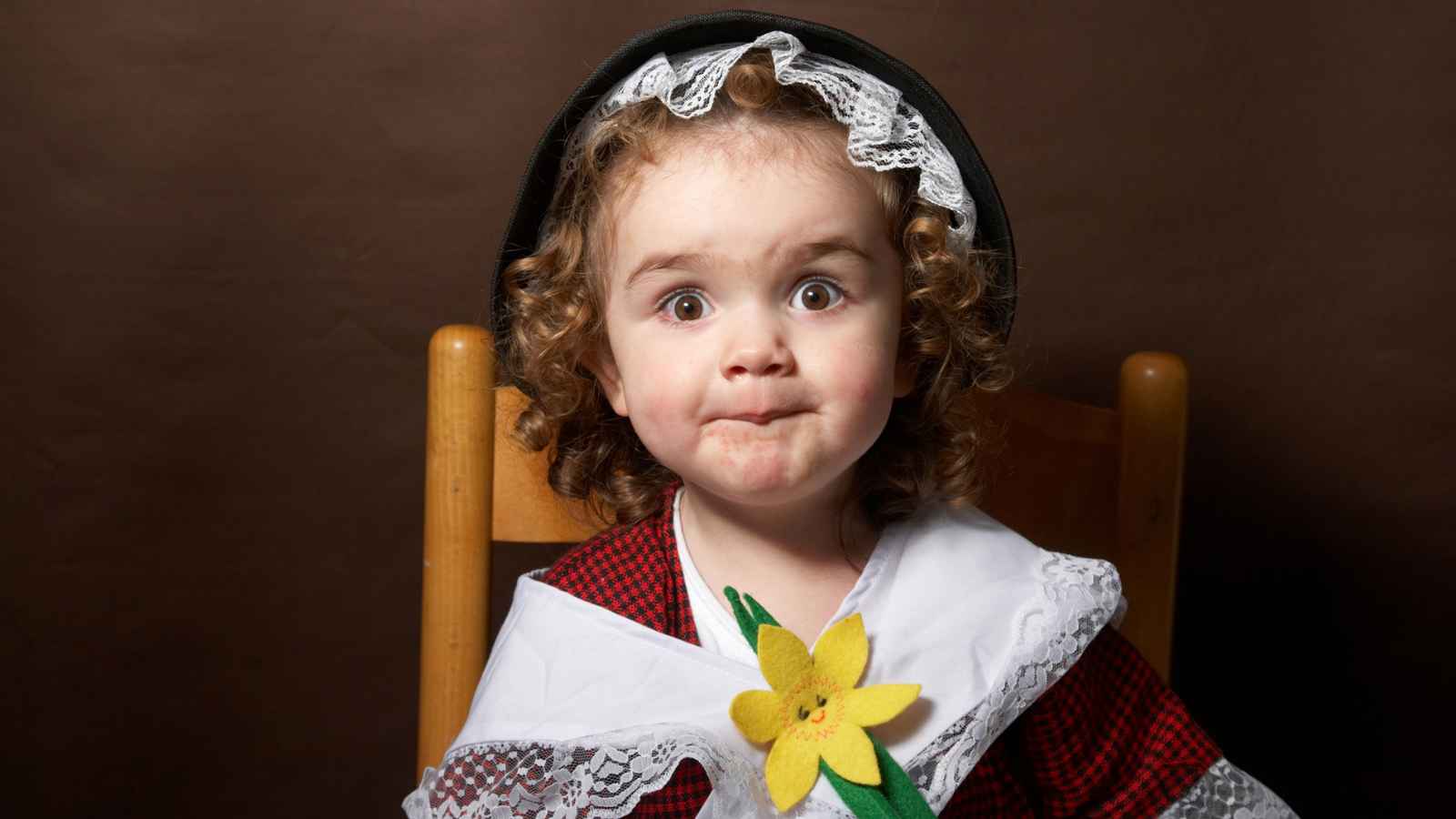 Young child with curly hair wearing a traditional Welsh costume, including lace collar and bonnet, sits on a wooden chair against a brown background, holding a daffodil.