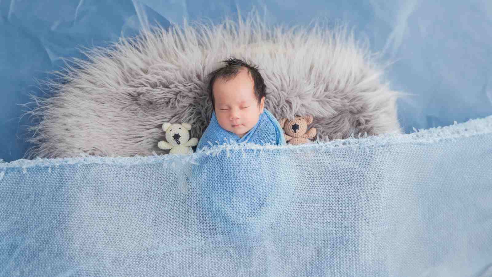 A newborn baby sleeps on a fluffy gray cushion wrapped in a blue blanket, with two small stuffed animals beside them and light blue netting in the foreground.
