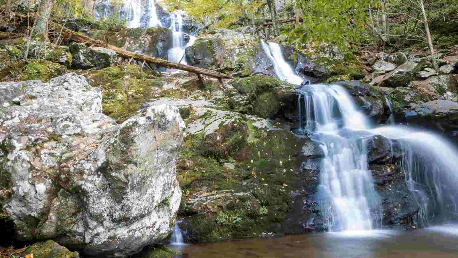 A multi-tiered waterfall flows over mossy rocks surrounded by trees and foliage in a forested area.