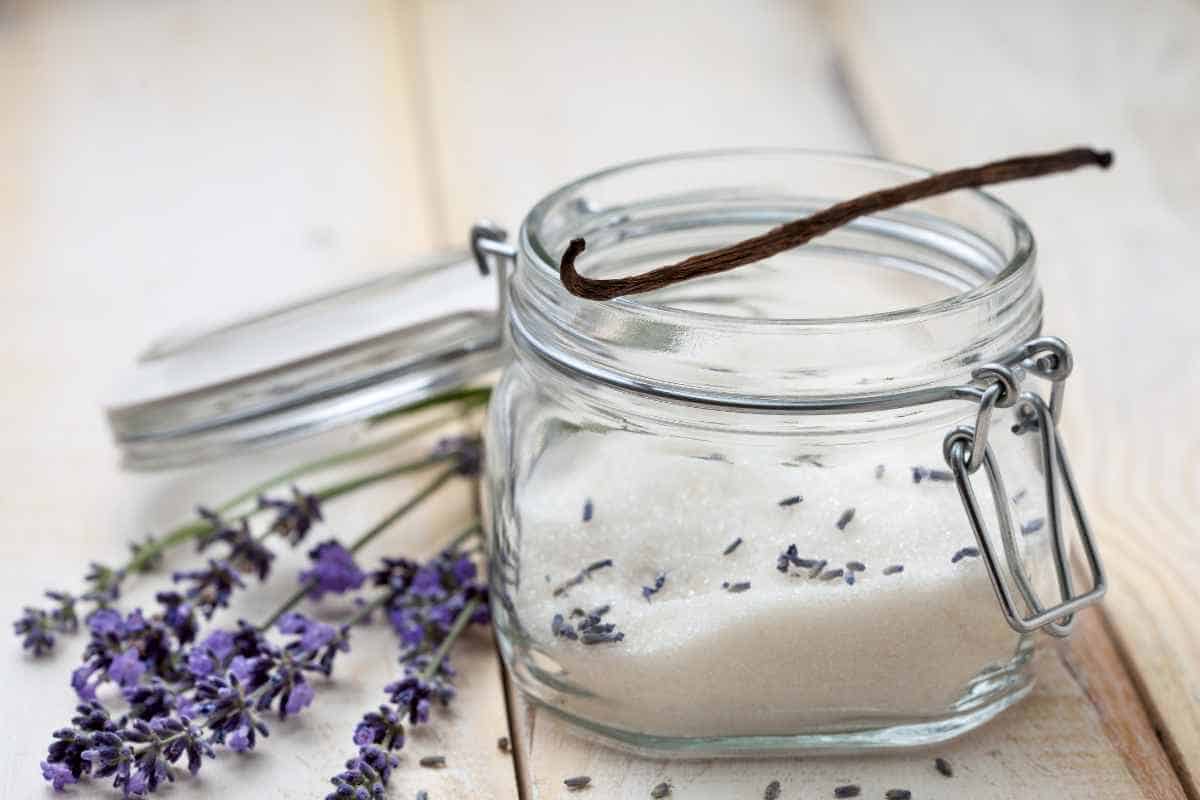 A glass jar of flavored-sugars, filled with sugar, lavender buds, and a vanilla bean, sits open on a wooden surface next to sprigs of fresh lavender.