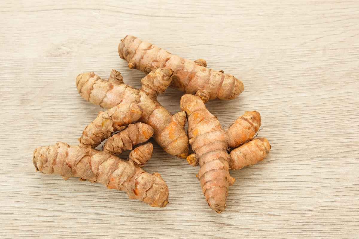Several pieces of fresh turmeric root are placed on a light wooden surface.