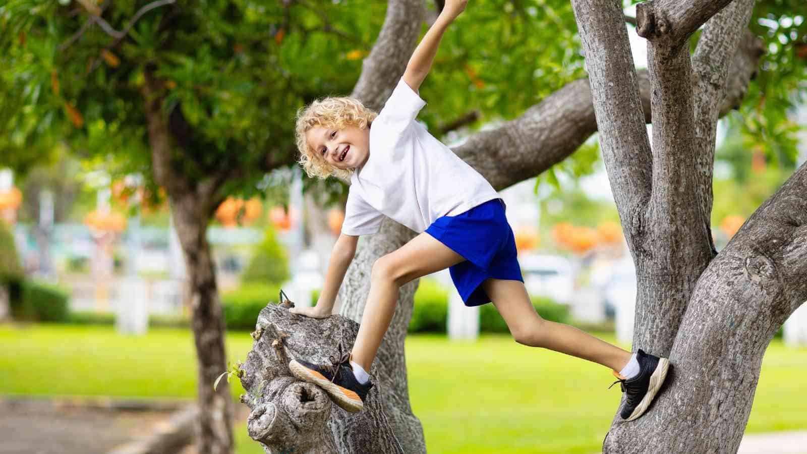 A child wearing a white shirt and blue shorts is climbing a tree and smiling, with one arm and leg extended outward.