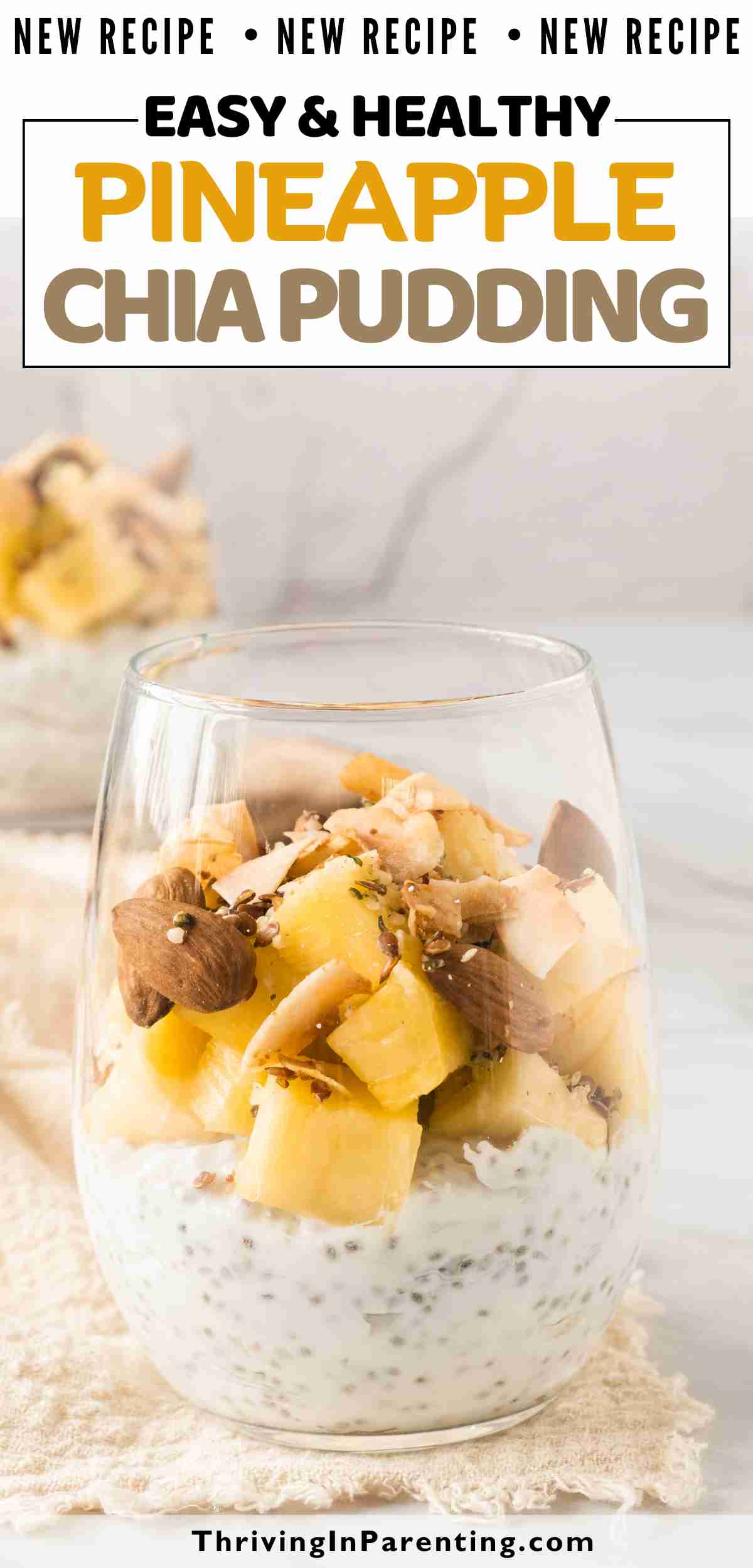 Pin image of pineapple chia pudding recipe blog post.