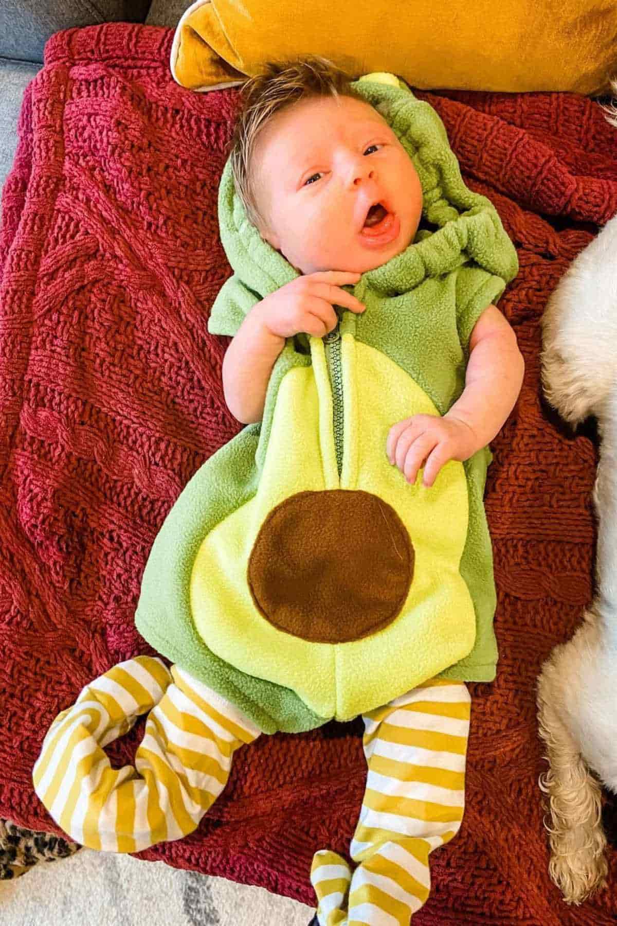 A baby dressed as an avocado lying on a knitted red cloth.