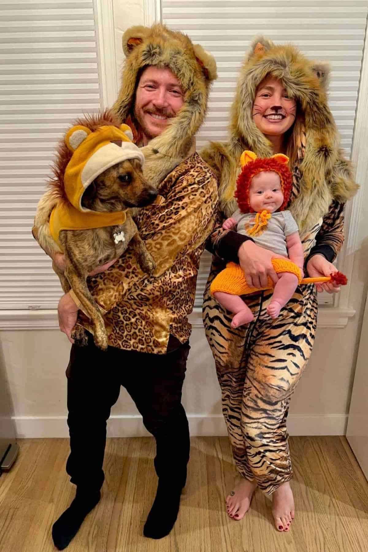 Two adults, a baby, and a dog all dressed in matching lion costumes pose together indoors in front of white blinds.