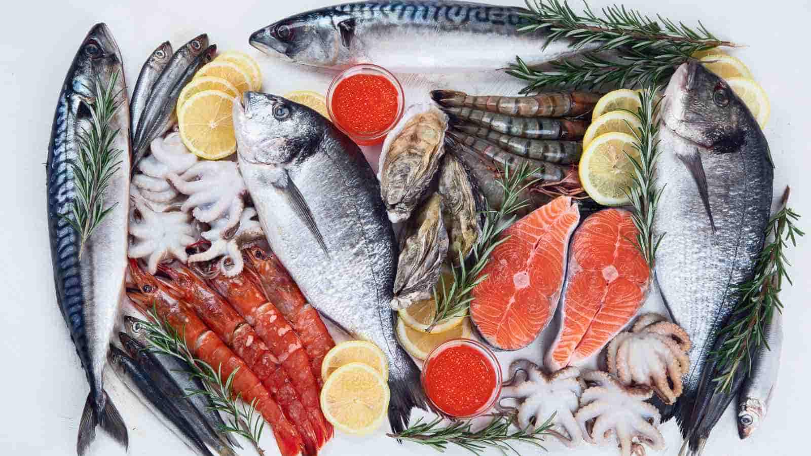 A variety of fresh seafood, including fish, shrimp, oysters, and octopus, is arranged on a white surface with lemon slices and sprigs of rosemary.