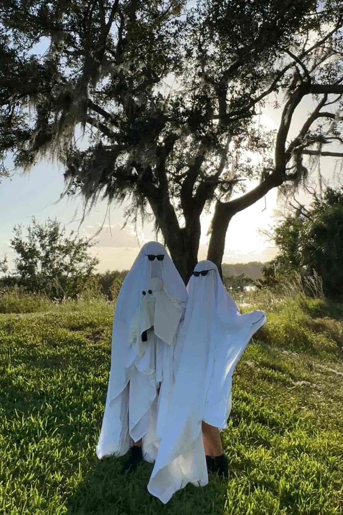Two adult and a baby dressed as ghosts with white sheets and sunglasses stand on grass in front of a large tree, with sunlight shining in the background.