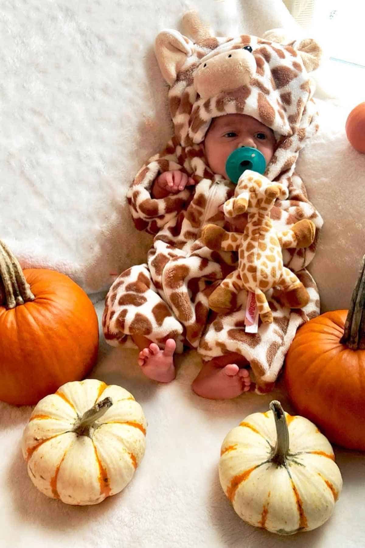 Baby lying on a white surface with a green pacifier on his mouth, wearing a giraffe costume. Surround him are some white and orange pumpkin.