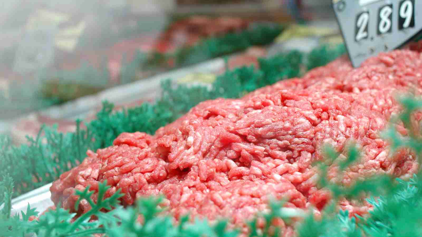 A large amount of ground beef is displayed in a butcher shop case, nestled in green plastic.