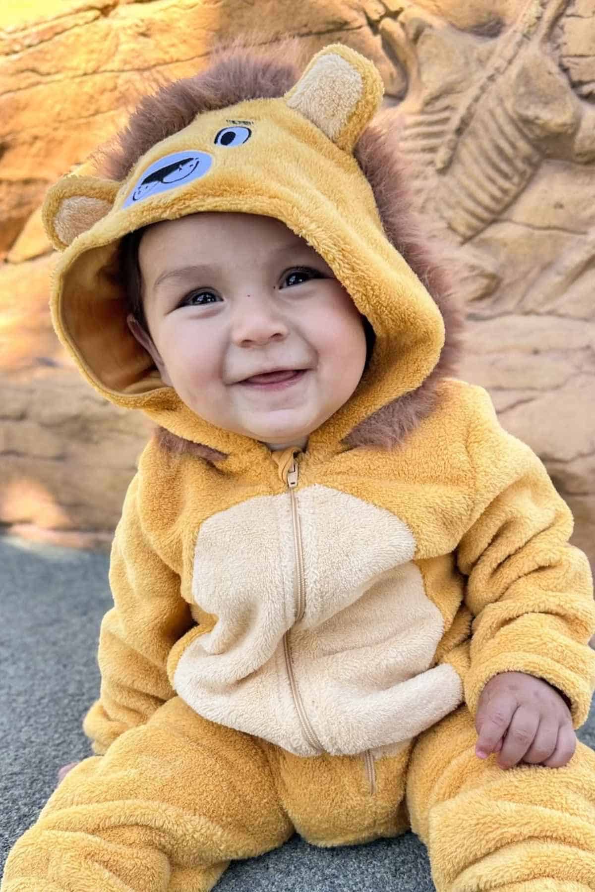 A baby sits on the ground wearing a fuzzy yellow lion costume with a hood featuring ears and a smiling lion face, against a textured stone background.