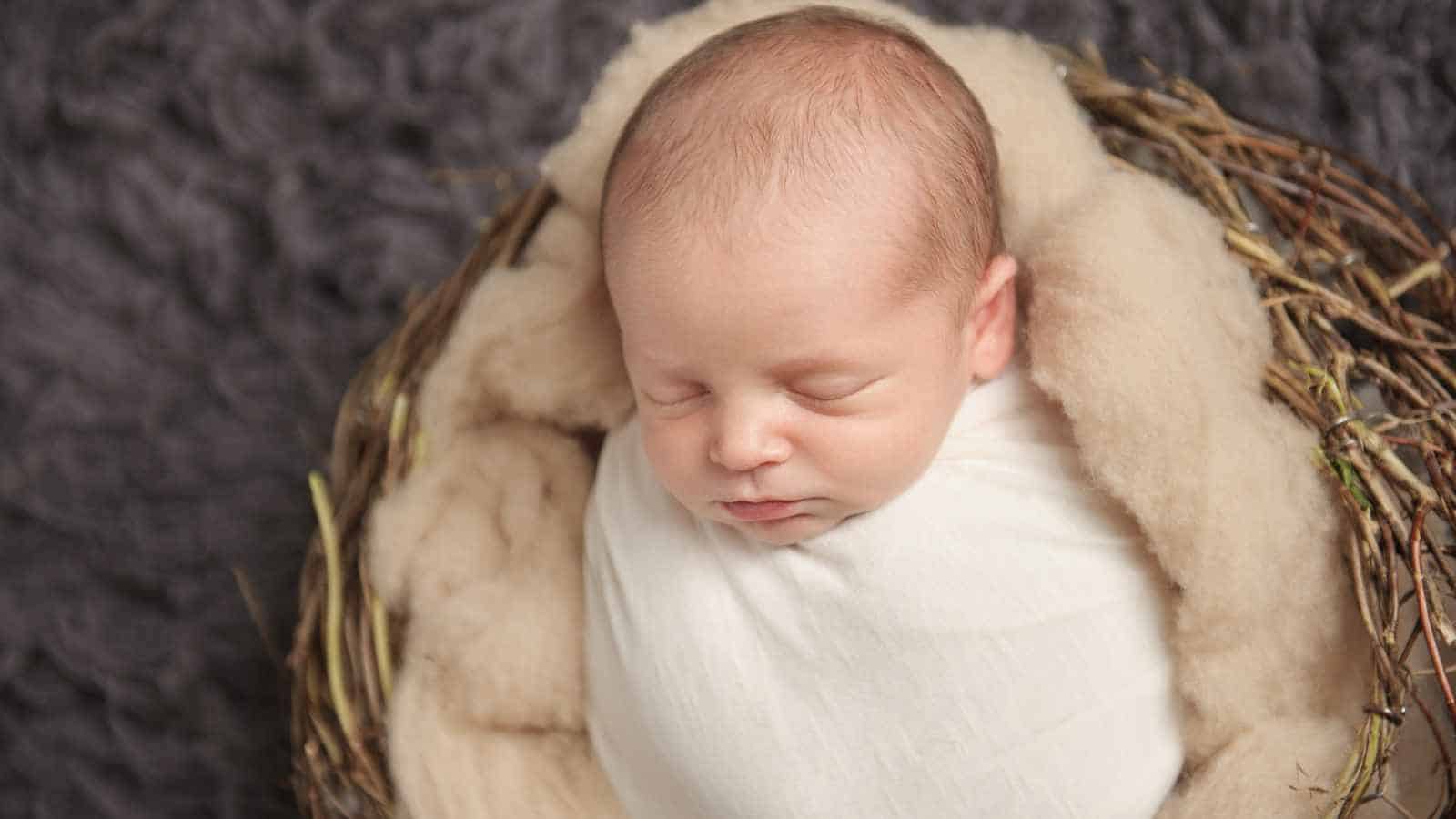A newborn baby wrapped in a white blanket sleeps peacefully in a nest made of twigs and soft wool, against a dark, textured background.