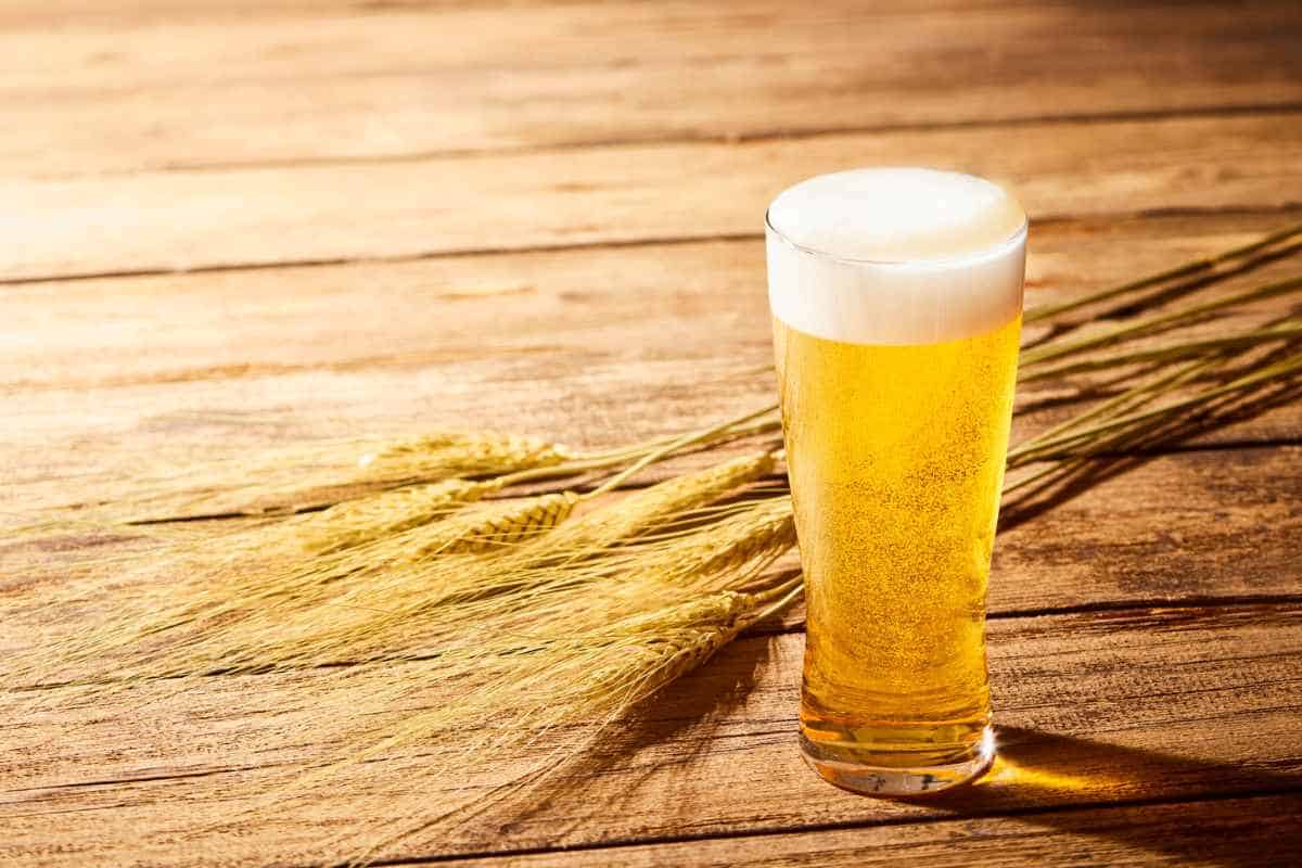 A wheat and a glass of beer placed on the wooden surface.
